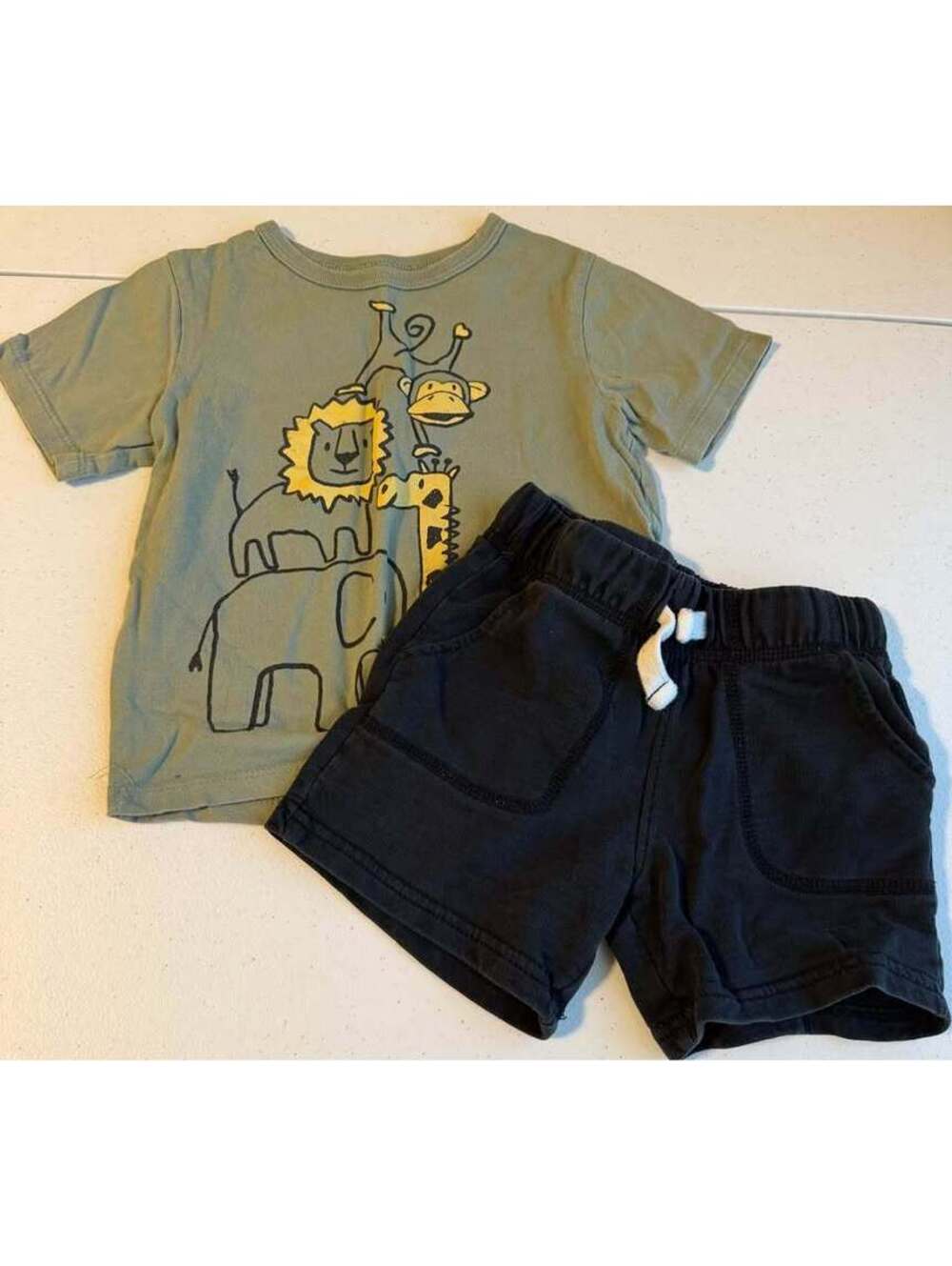 Carter's 2T Toddler Boy Safari Animal T-Shirt and Shorts Set